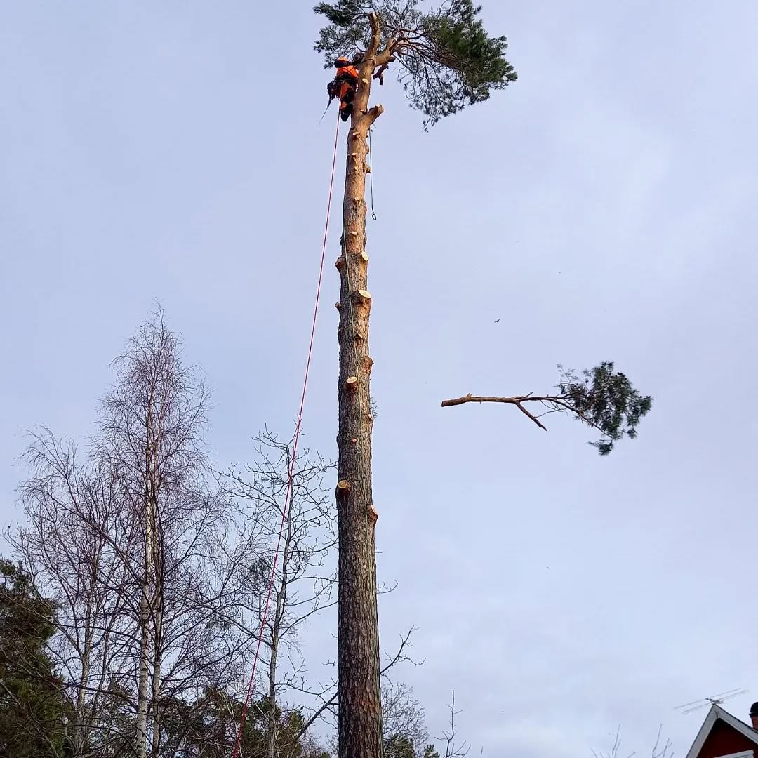 Nedtagning av en tall i sektioner
